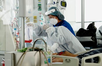 Según el boletín diario de