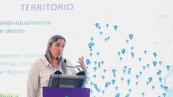 Experta pide a los gobiernos