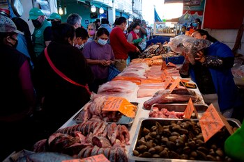 Este año implementaron un operativo