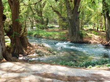 Otro ejemplar importante es el