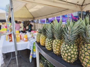 Hombre y mujer asiáticos sonriendo en primer plano, la mujer sostiene un letrero con forma de piña que dice "Feria de la Piña 2026 Santa María Ostuma"