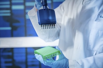 El análisis del ADN de