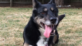 Ruby sorteó una gran cantidad