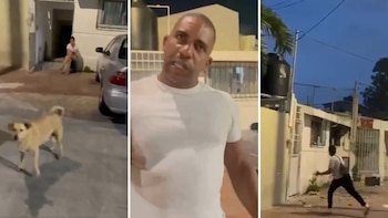 Mexicano reclama mordida de perro, cubano lo golpea y casi termina linchado en Cancún