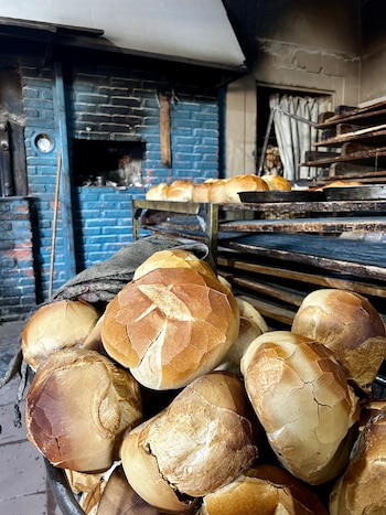 fiesta de la galleta de piso en Saladillo