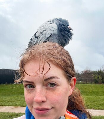 La paloma demostró sentir un