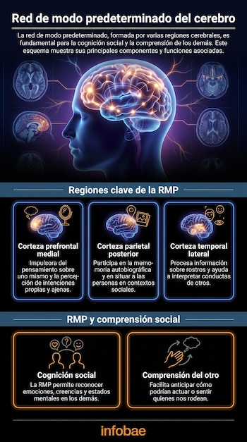 Diagrama con cerebro humano iluminado y sus conexiones, acompañado de imágenes de cortes cerebrales. Presenta texto, íconos de personas, espejos y manos.