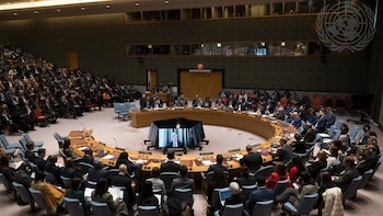 Israel pide al Consejo de