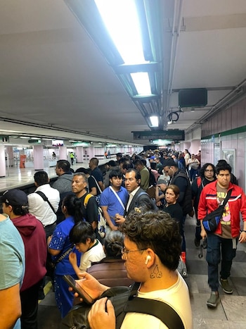 metro mayo live
