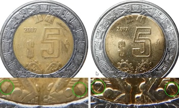 Los ejemplares tienen diferencias. Eneas