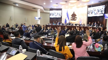 Congreso Nacional de Honduras designa