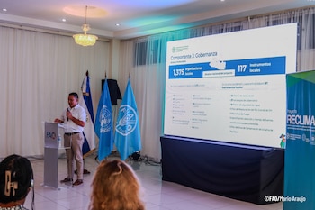 RECLIMA estableció 1.301 Escuelas de Campo para capacitar a familias agricultoras en sistemas agroforestales, conservación de suelos, abonos orgánicos y riego./ (FAO)