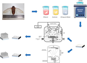 El equipo liderado por Chung-Hung