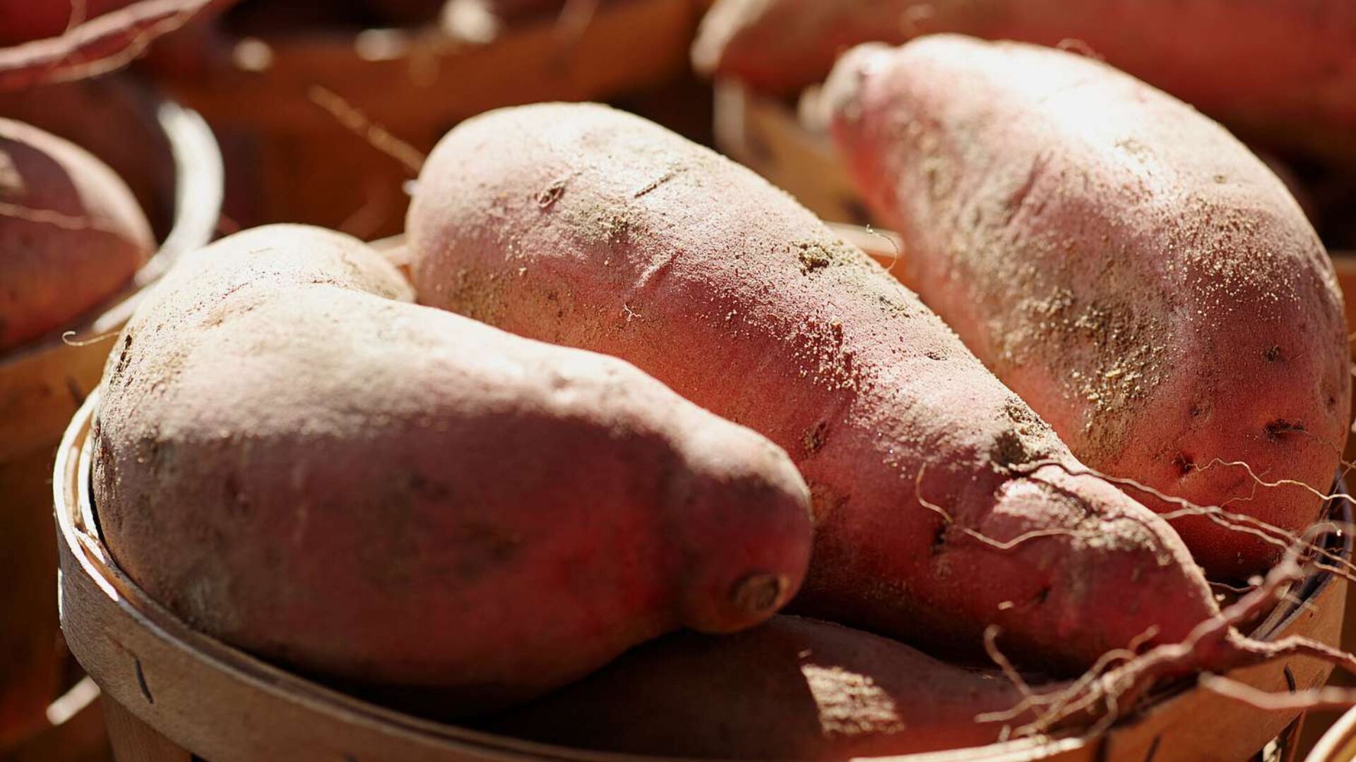 Las variedades peruanas Kalpay Yauri y Puka Yauri fueron registradas en 2024 y contienen más hierro que las papas comerciales. (Aboutespanol)