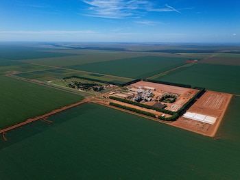 Campo implantado con soja en Brasil, bajo el Sistema de Incentivos Regenerativo