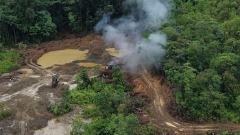 Ejército intervino una mina ilegal en Chocó, afectando las rentas del ELN por 1.200 millones mensuales en oro