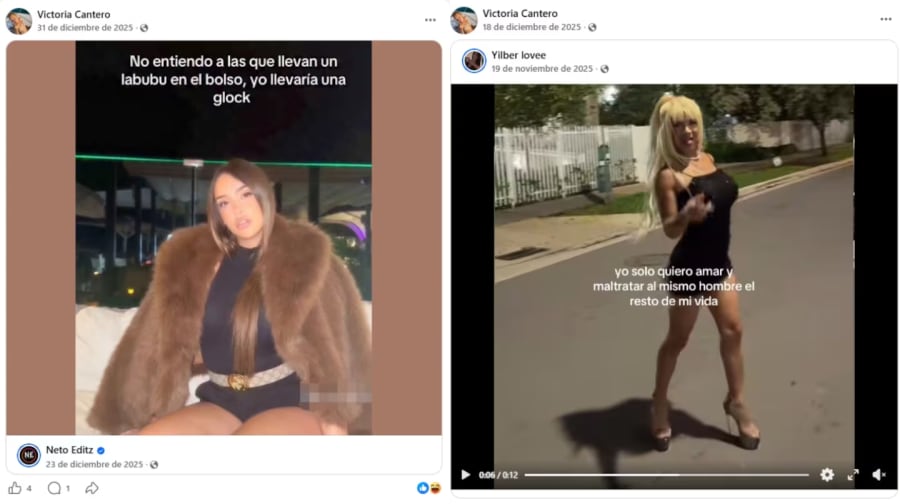 Las publicaciones que llamaron la atención (Foto: nuevodiarioweb)