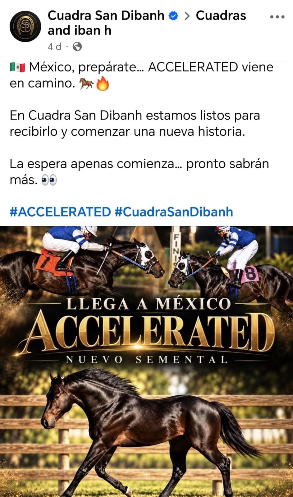 (Facebook: Cuadra San Dibanh)