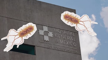 La institución y el Comité de Médicos Residentes acordaron medidas de apoyo mientras continúan las investigaciones por el brote que afectó a 135 médicos.