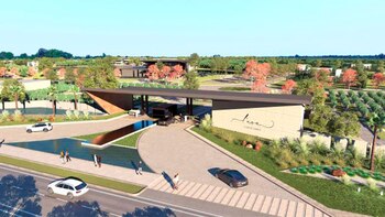 L´uva, así será el club