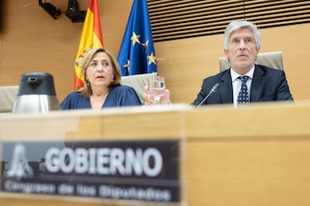 El ministro de Interior, Fernando Grande Marlaska, durante una comparecencia ante la Comisión de Interior en el Congreso de los Diputados (Jesús Hellín - Europa Press)