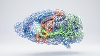 Modelo 3D de un cerebro gris sobre fondo blanco con una red de líneas y puntos luminosos en tonos azules, naranjas, verdes y rojos