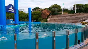 Aquarium, en Mar del Plata,