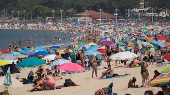 Procedente el despido de un