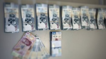 Detuvieron en Baja California a