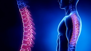 Cuatro estiramientos que mejoran la