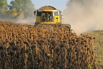 La campaña 2024/25 ha quedado