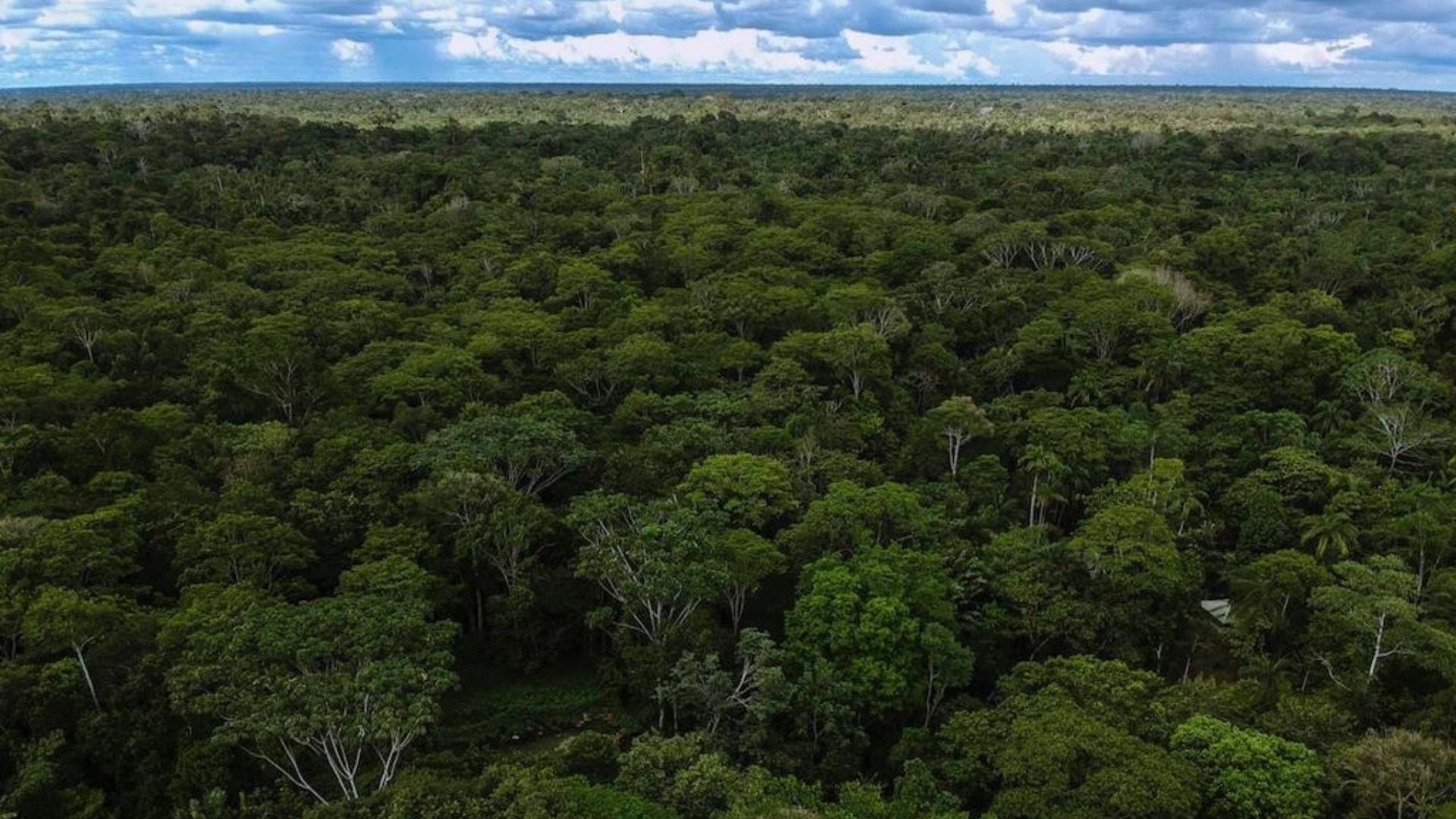 El anuncio de protección de la Amazonía afecta a seis departamentos y a más de 1,2 millones de habitantes, en su mayoría comunidades indígenas - crédito Ministerio de Ambiente y Desarrollo Sostenible