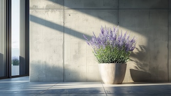 El alimento que siempre tiras