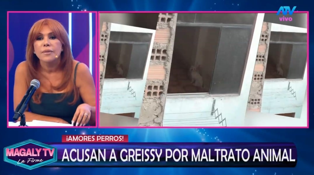 Greissy Ortega enfrenta acusaciones de presunto maltrato animal: vecinos difunden videos y audios. Captura: Magaly TV La Firme.