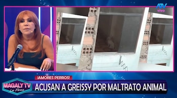 Greissy Ortega enfrenta acusaciones de presunto maltrato animal: vecinos difunden videos y audios. Captura: Magaly TV La Firme.