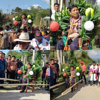 Esta petición provocó reacciones negativas