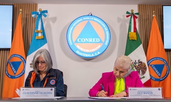 Las estadísticas oficiales ubican a Guatemala, Quiché, Sacatepéquez y Petén entre los departamentos con mayor incidencia de incendios forestales.