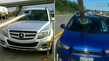 Foto: (Captura) @WFLA / Twitter