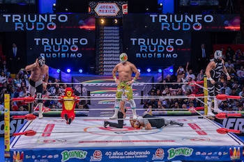 (CMLL / Diego Cedrix)