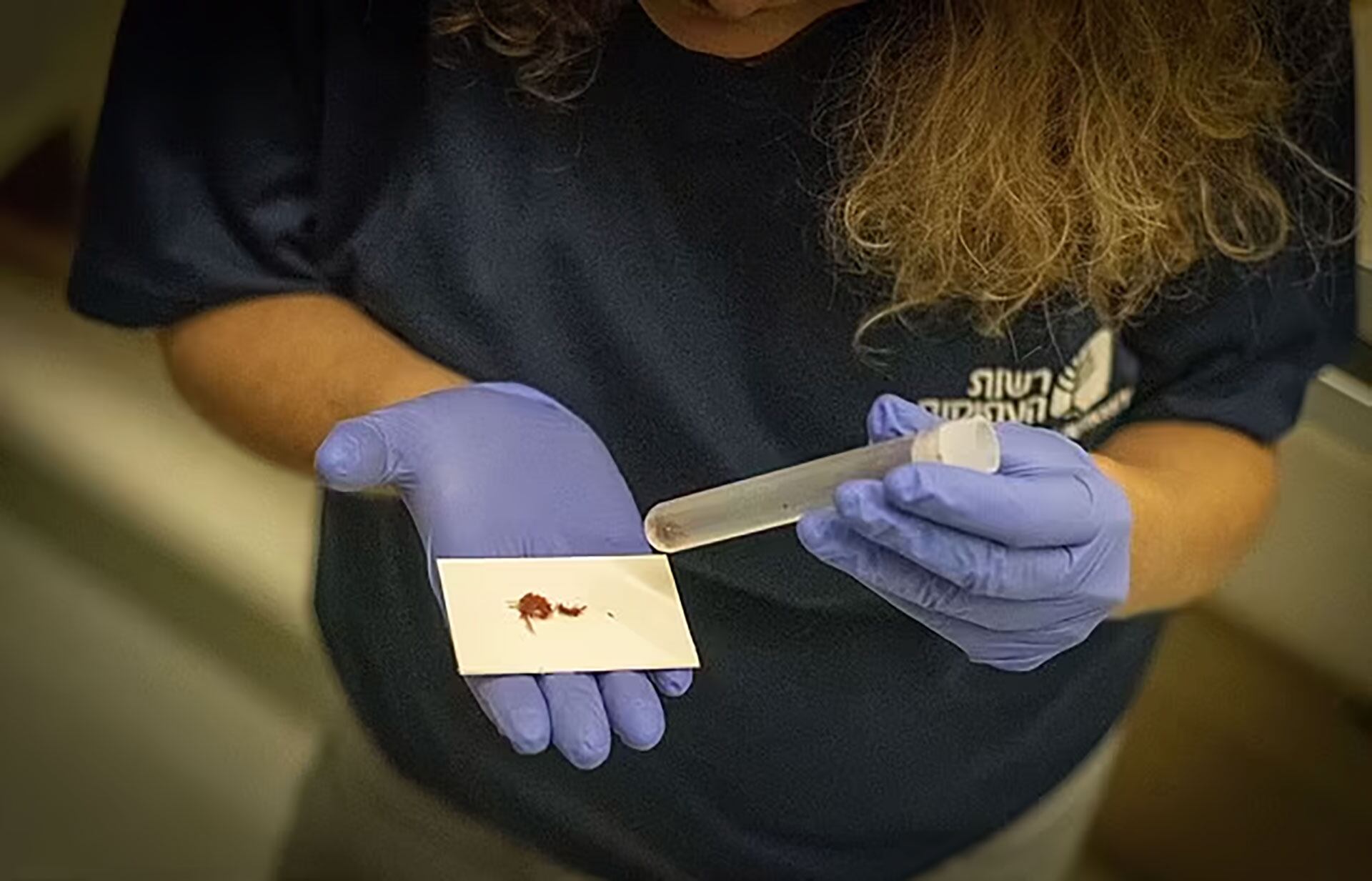 Descubren una pieza de hace 4000 años mencionada en el Antiguo Testamento