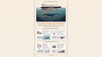 Buque metanero navegando en el mar con ondas acústicas dirigidas a dos ballenas sumergidas, junto a cuatro recuadros explicativos con iconos y texto.