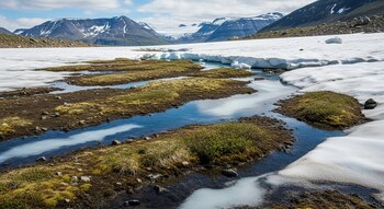 Vista de un paisaje montañoso con extensas zonas de nieve y hielo derritiéndose, formando riachuelos y charcos que atraviesan áreas de tierra y vegetación.