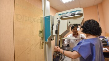 Alcaldía Magdalena Contreras: cómo acceder