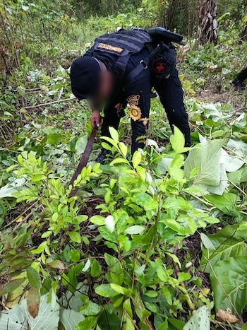 El Ministerio de Gobernación de Guatemala informó que, durante estos operativos, se aseguró la protección de la población y se incrementó la presencia de seguridad en las zonas intervenidas.(Cortesía: PNC de Guatemala)