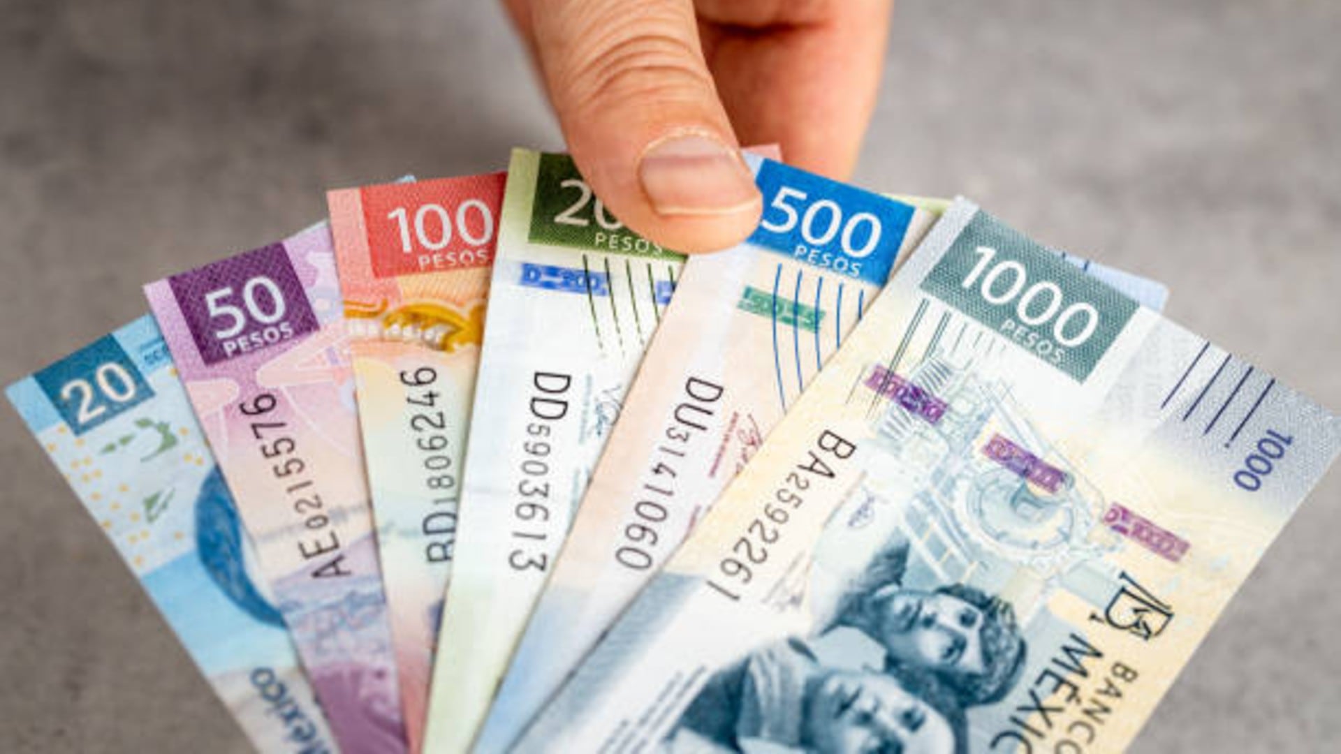 La ley exige que el pago se realice antes del 20 de diciembre y establece multas para empresas que no cumplan. Foto: (iStock)