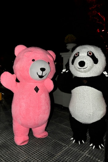 Dos osos, uno rosa y