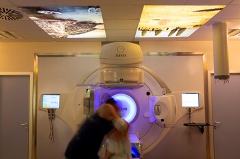 Por primera vez, un estudio