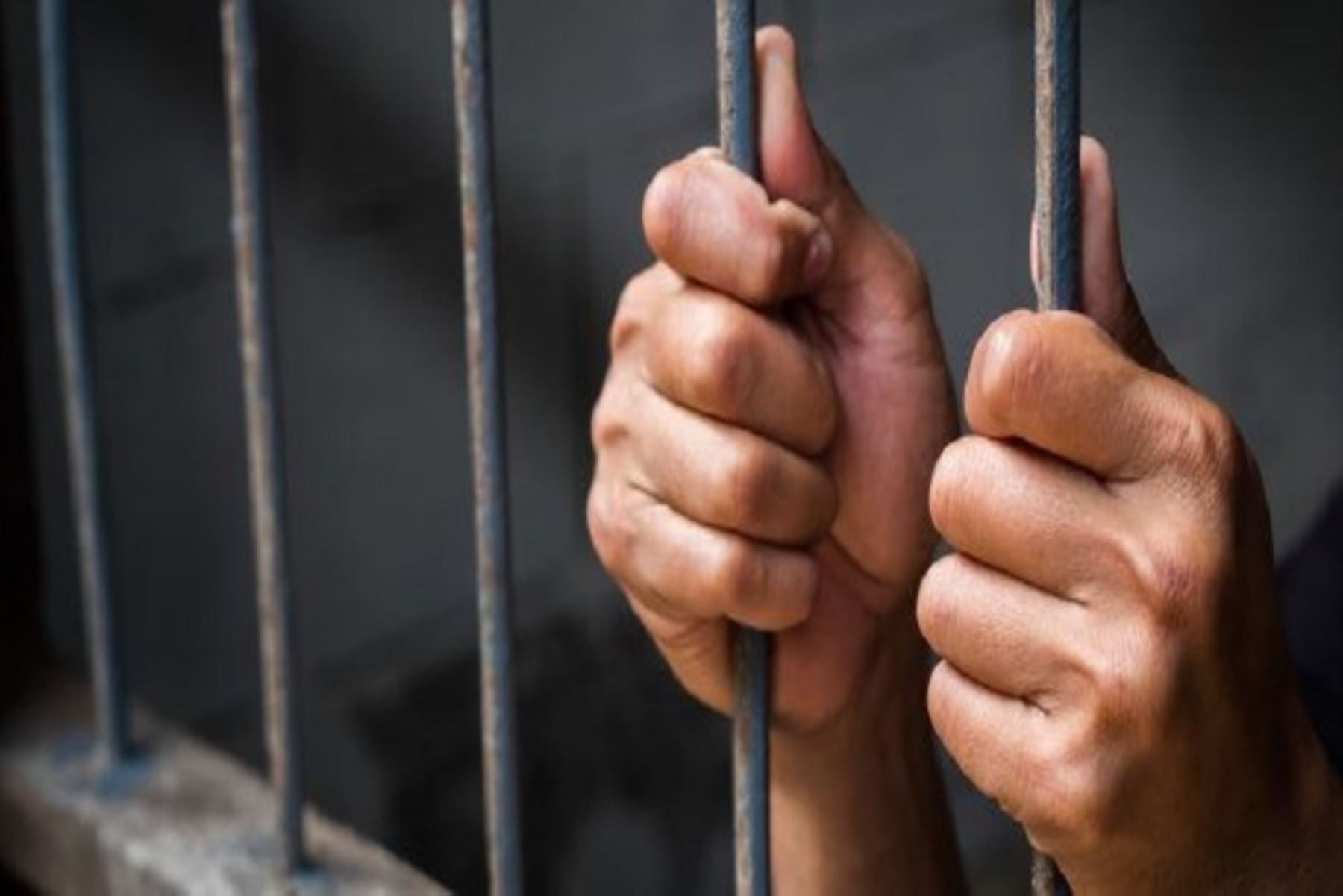 Ramón Luis Fernández quedó detenido en diciembre de 2022 en Corrientes (Foto/Andina)
