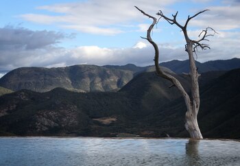 Luego de permanecer cerrada por