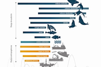 Amenaza a las especies marinas
